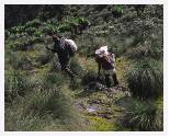 Porters in Bigo Bog  * 1996 visit * 4338 x 3477 * (13.75MB)